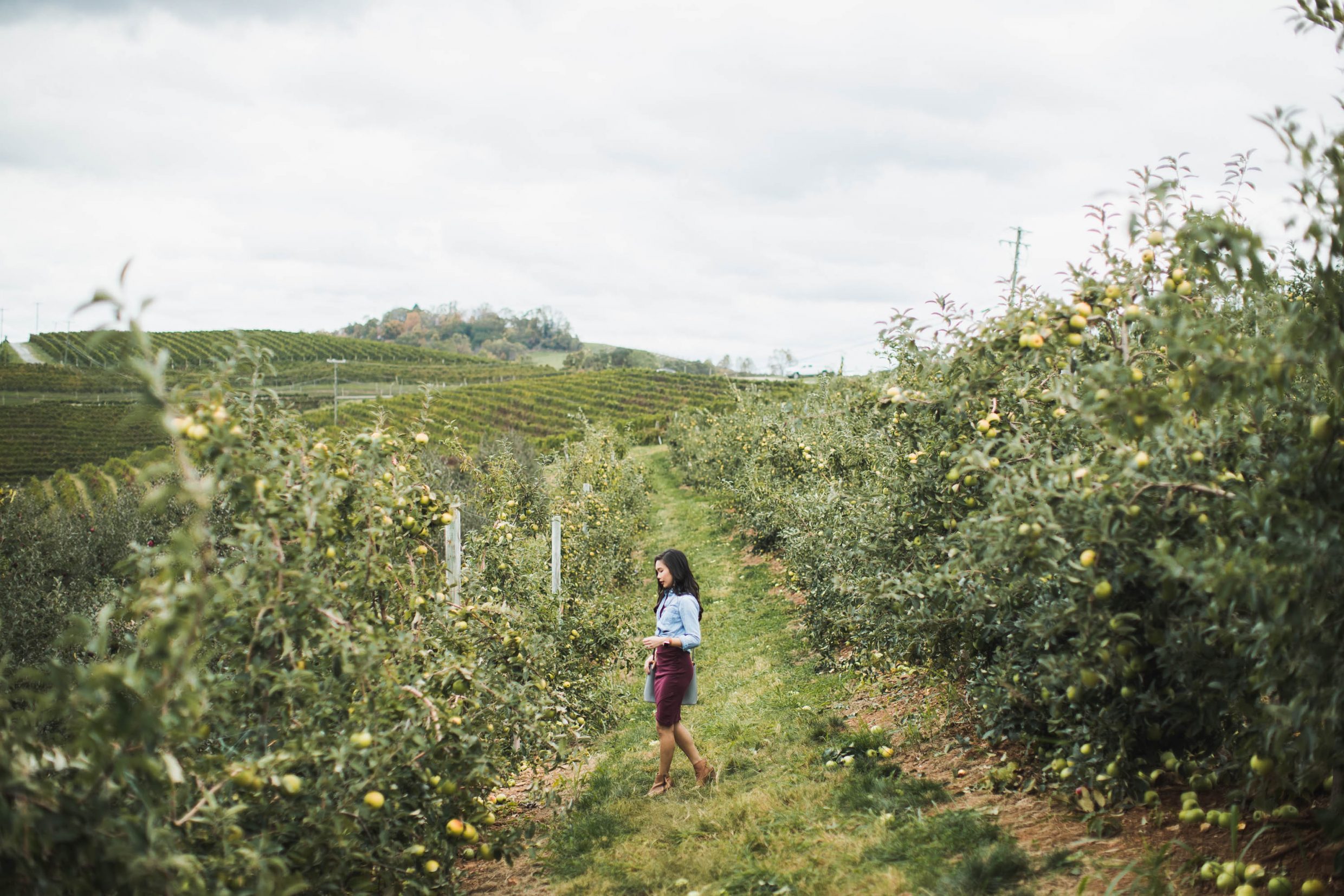 Blogger Hoang-Kim goes apple picking at Carter Mountain Orchard in Virginia