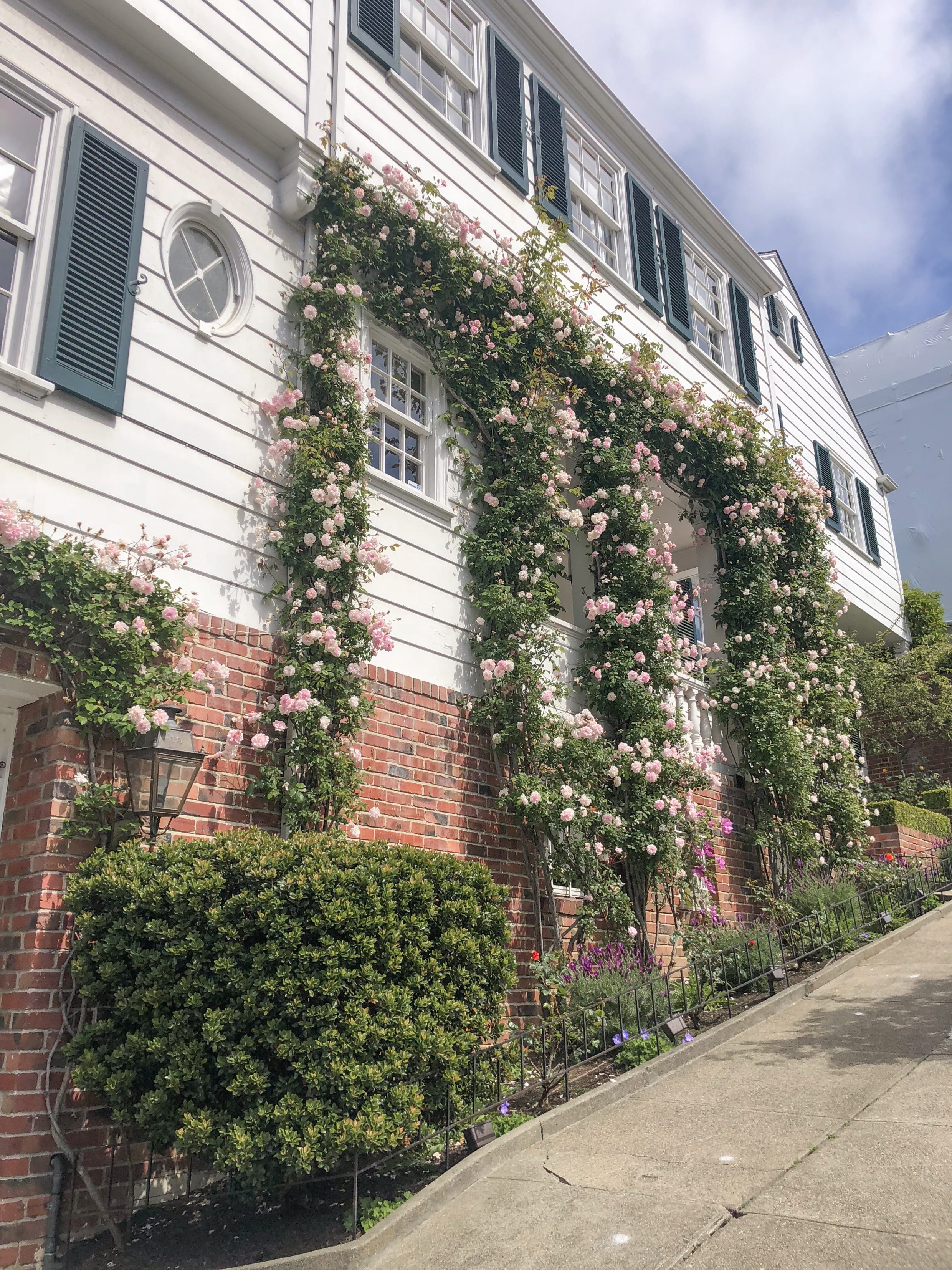 Home in Pacific Heights - San Francisco Travel Guide