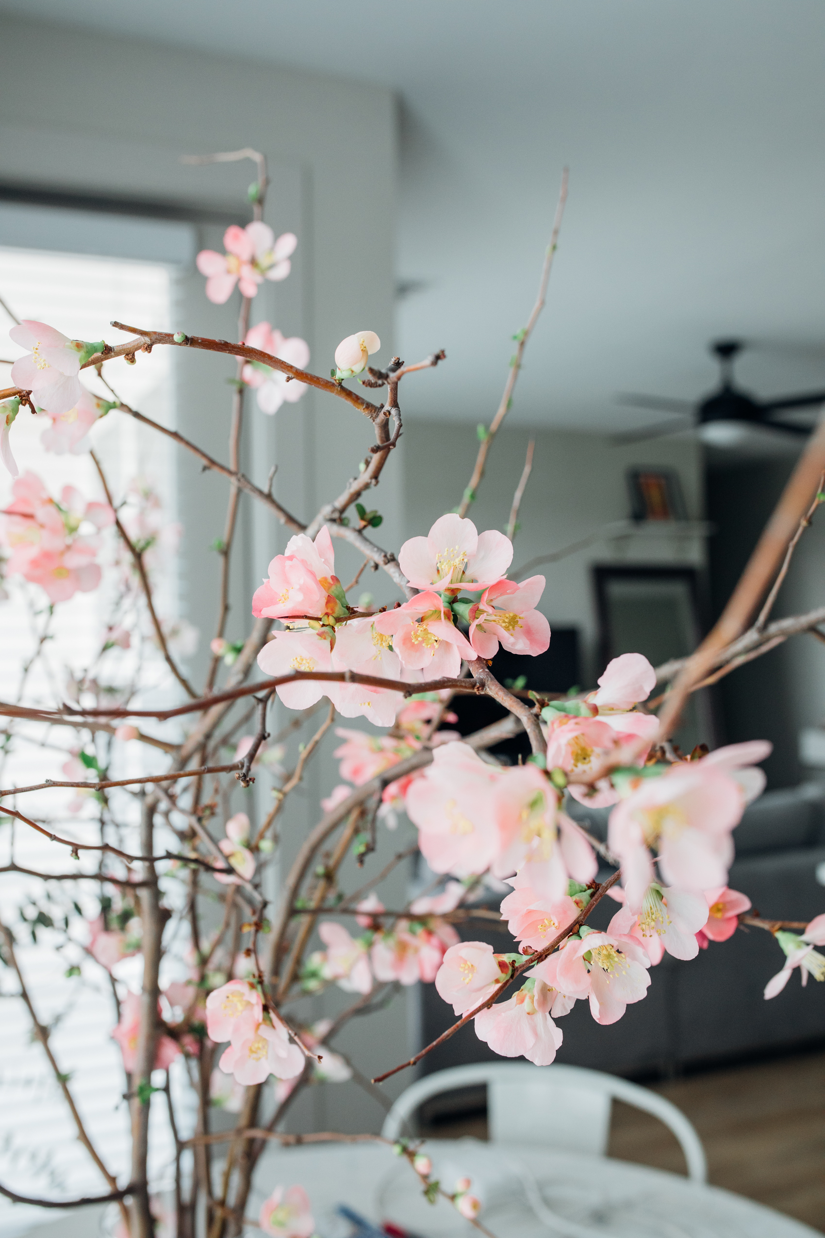 Peach blossoms in dining room