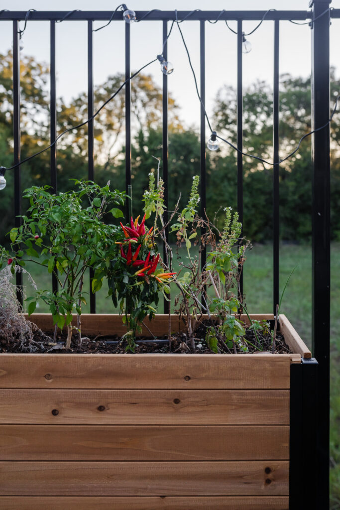 Blogger Hoang-Kim Cung's parents' backyard transformation featuring planters